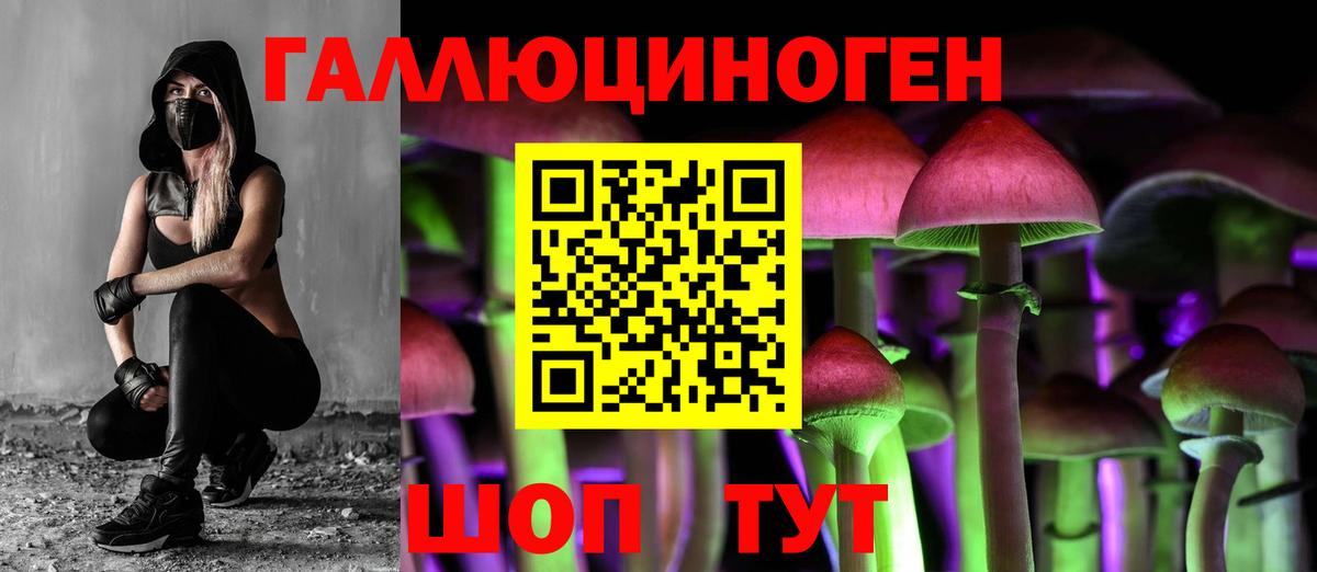 Псилоцибиновые грибы мицелий  Вход с VPN  Аша  Псилоцибиновые грибы Psilocybe 